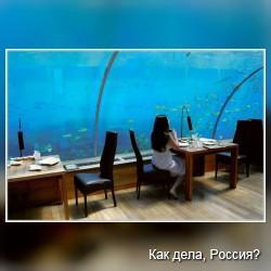 Подводный ресторан 