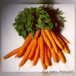 Морковка - «Ешь ее как фаст фуд»!