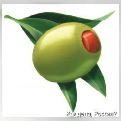 Что мы знаем об оливках?